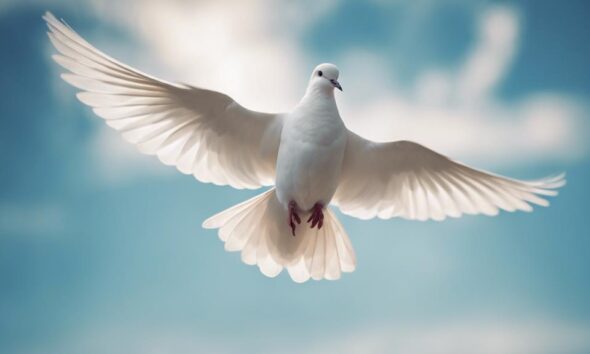 doves represent peace symbolically