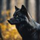 exploring black wolf symbolism