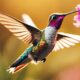 hummingbirds spiritual symbolism unveiled