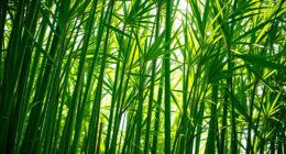 flexible and resilient plant