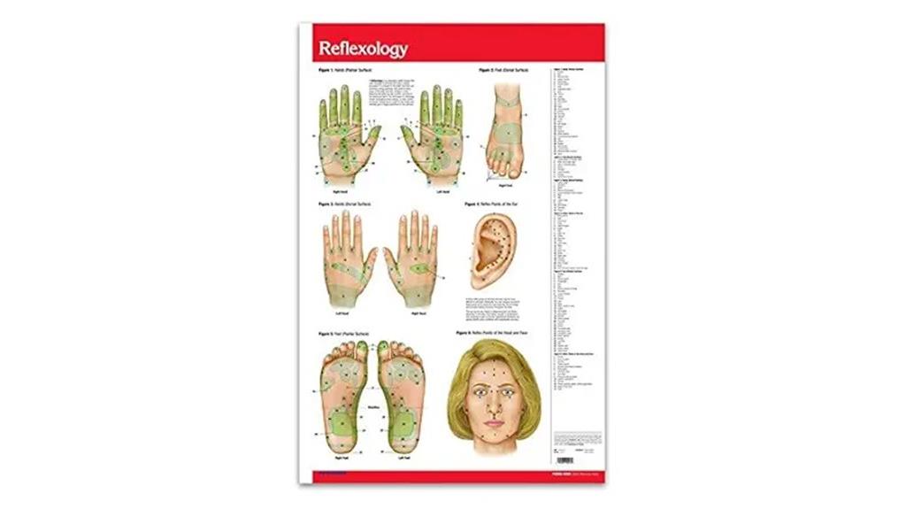 acupuncture reflexology chart poster