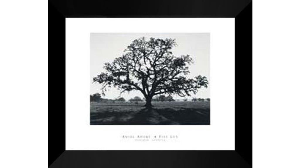 ansel adams sunrise print