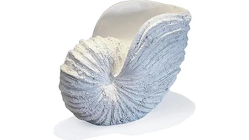 coastal nautilus shell sculpture