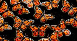 elegant monarch butterfly pins