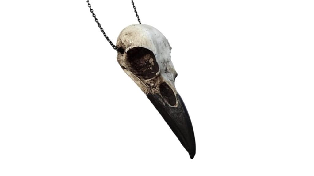 gothic raven skull necklace
