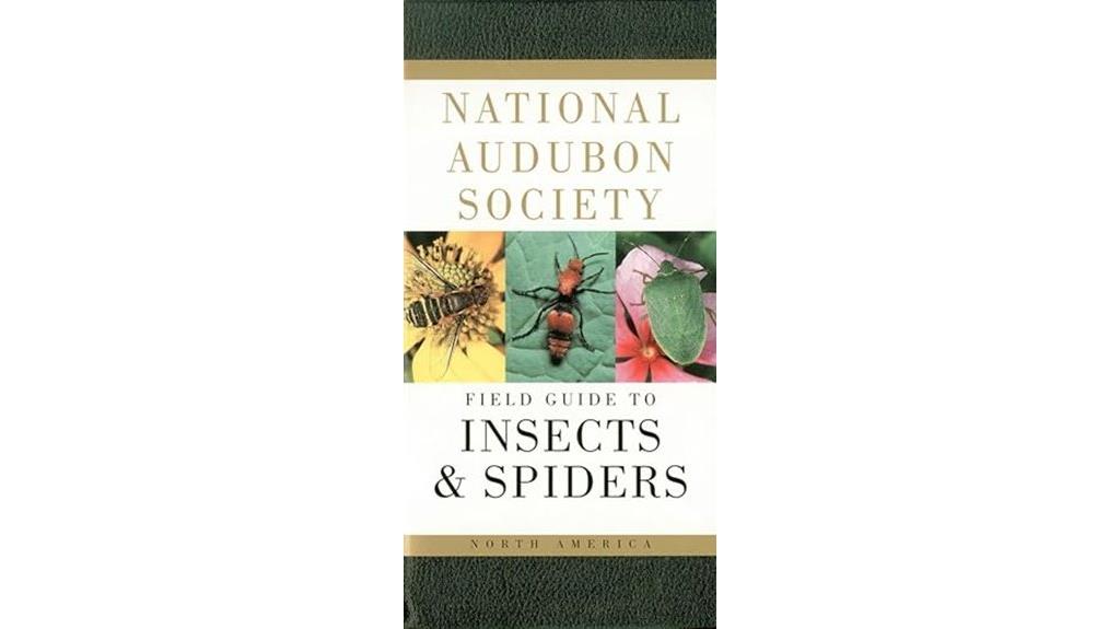 insect and spider identification