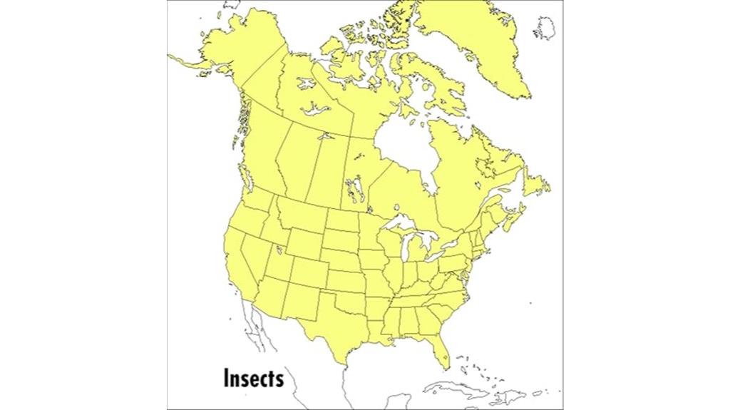 insect identification peterson guide