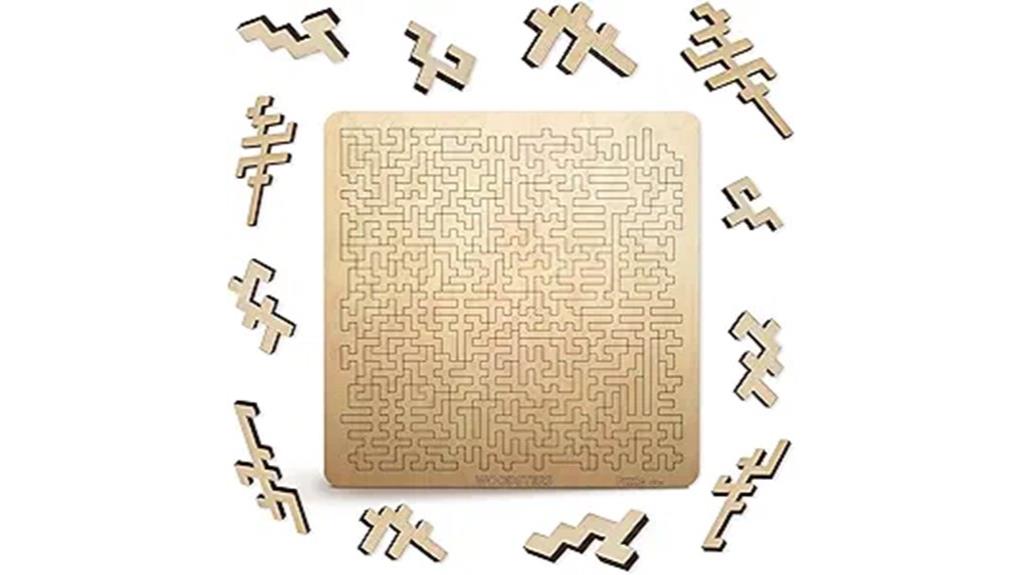 intricate wooden puzzle challenge