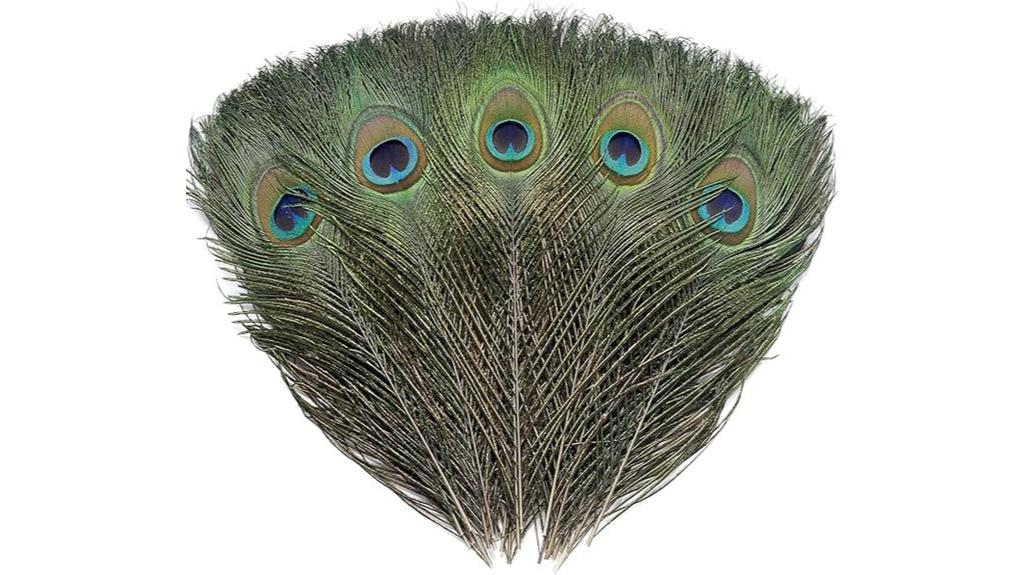 natural peacock eye feathers