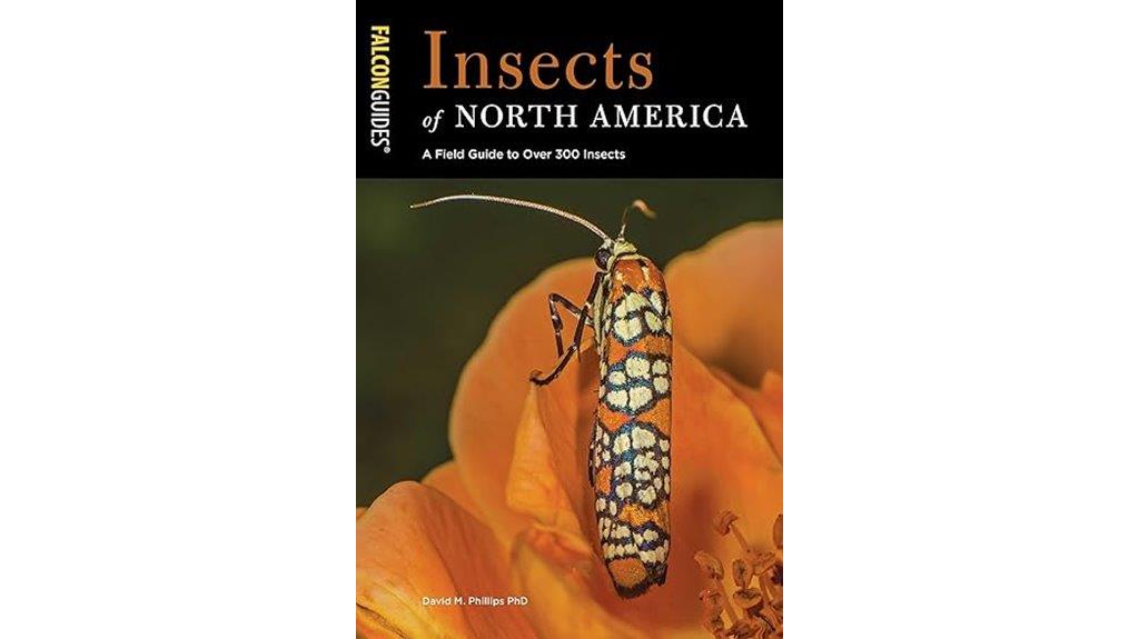 north american insect identification