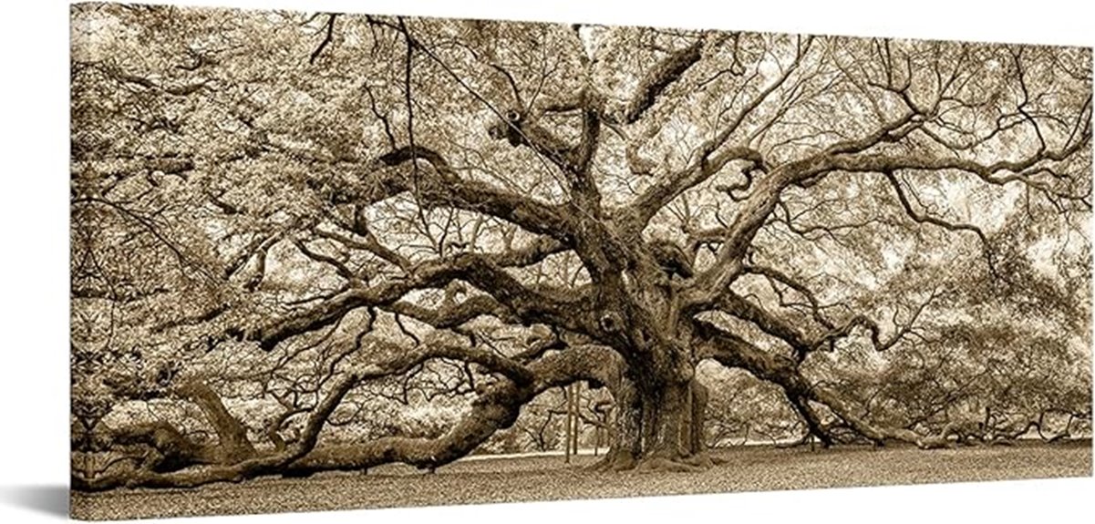 sepia angel oak canvas
