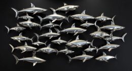 shark wall art decor