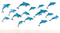 top dolphin wall decal ideas