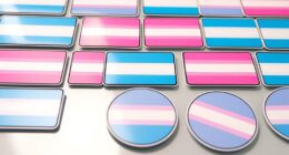 top transgender pride sticker packs