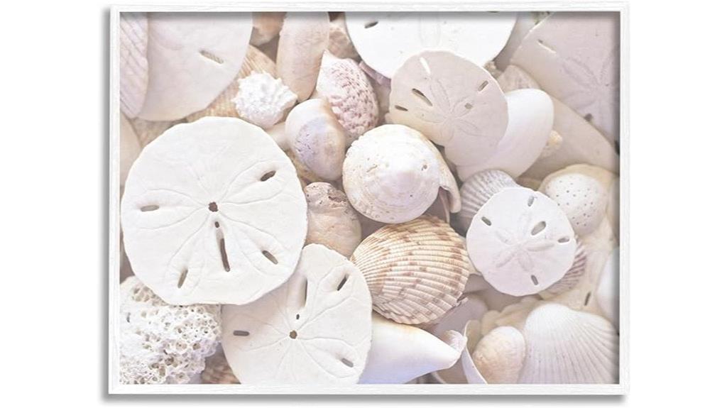 white sand dollar shells art