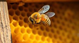 bee representing teamwork and productivity