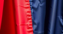 colors symbolize political allegiance