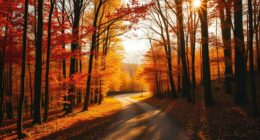 discover your life purpose