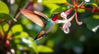 joyful resilience of hummingbirds