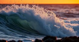 words mimicking natural sounds