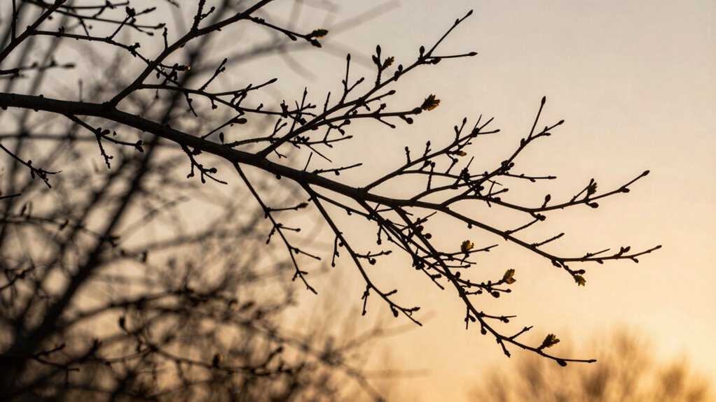 branches symbolize growth and connection
