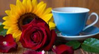 colors symbolize emotions and ideas