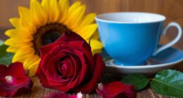 colors symbolize emotions and ideas