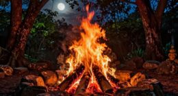 fire symbolizes transformation and energy