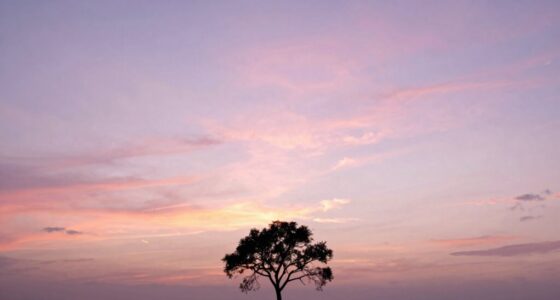 new beginnings and hope