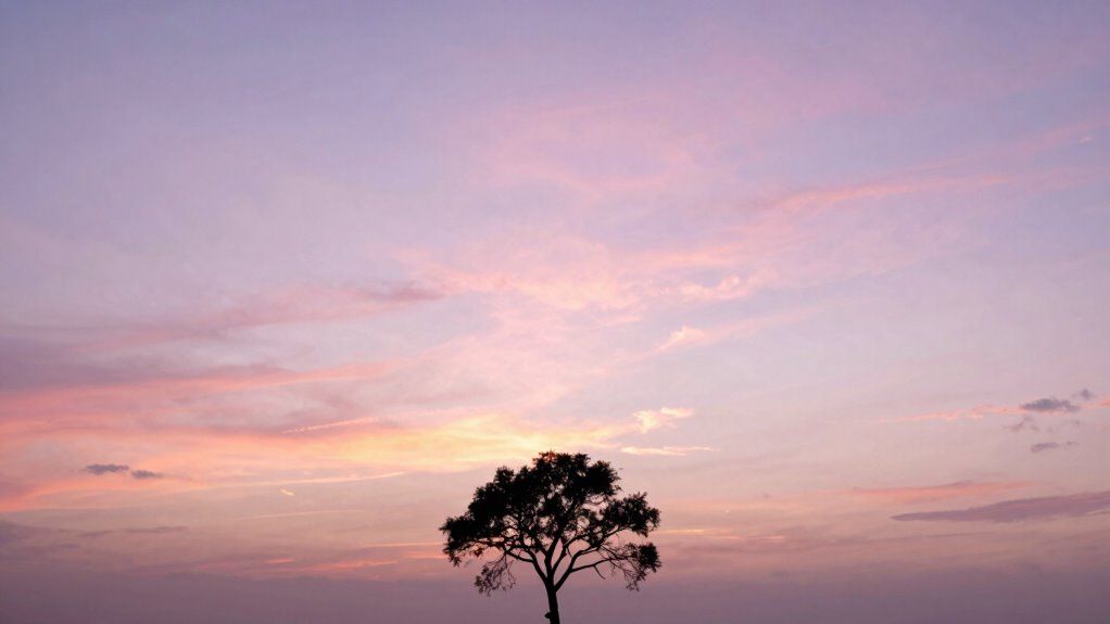 new beginnings and hope