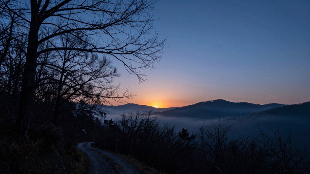 night s mysterious reflective allure