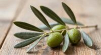 olive branch symbolizes peace