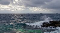 sea symbolizes mystery and eternity
