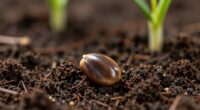 seeds symbolize hope and possibility