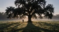 shadows symbolize hidden truths