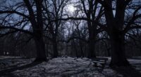silent language reveals meaning