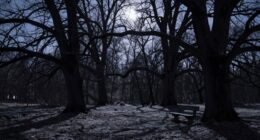 silent language reveals meaning