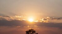 sun symbolizes life force