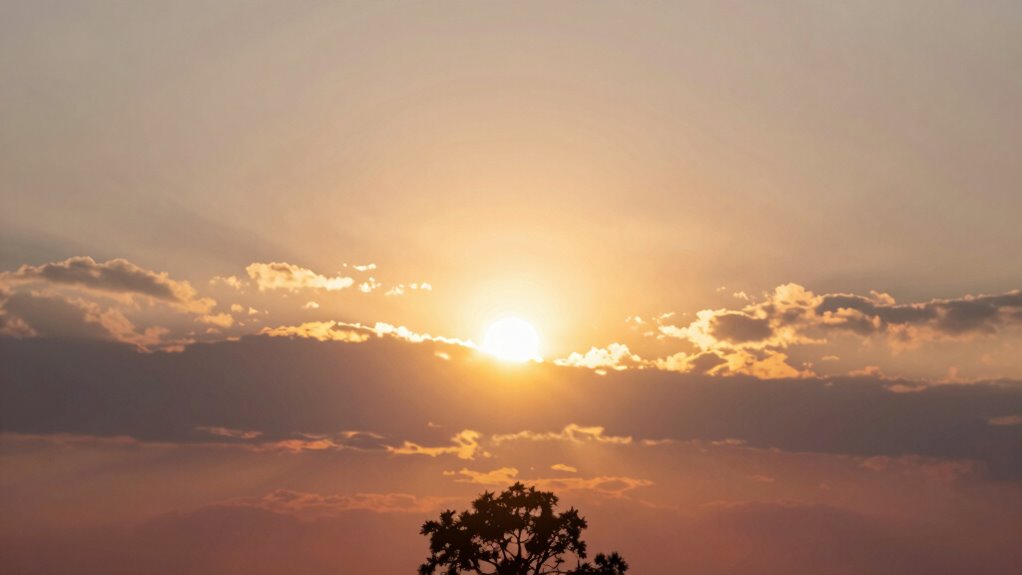 sun symbolizes life force