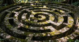 symbol of complex journeys