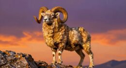 symbol of strength and renewal