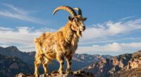 symbolism of goats worldwide