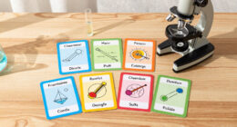 7 Best Science Reference Flashcards in 2026