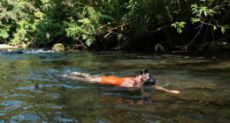 Florida woman swimming in river killed in rare alligator attack at state forest