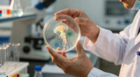 Jellyfish Can Heal Wounds In Minutes. Scientists Want Their Secrets