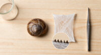 Snails' Teeth Beats Spider Silk As Nature's Strongest Material (2015)