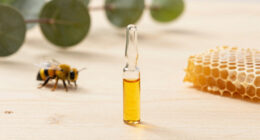 Spider Venom Kills Varroa Mites Without Harming Honeybees