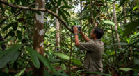 Odzala-Kokoua National Park Surges In Global Coverage