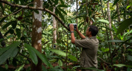 Odzala-Kokoua National Park Surges In Global Coverage