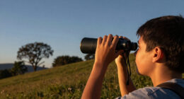 12 Best Astronomy Binoculars for Beginners in 2027
